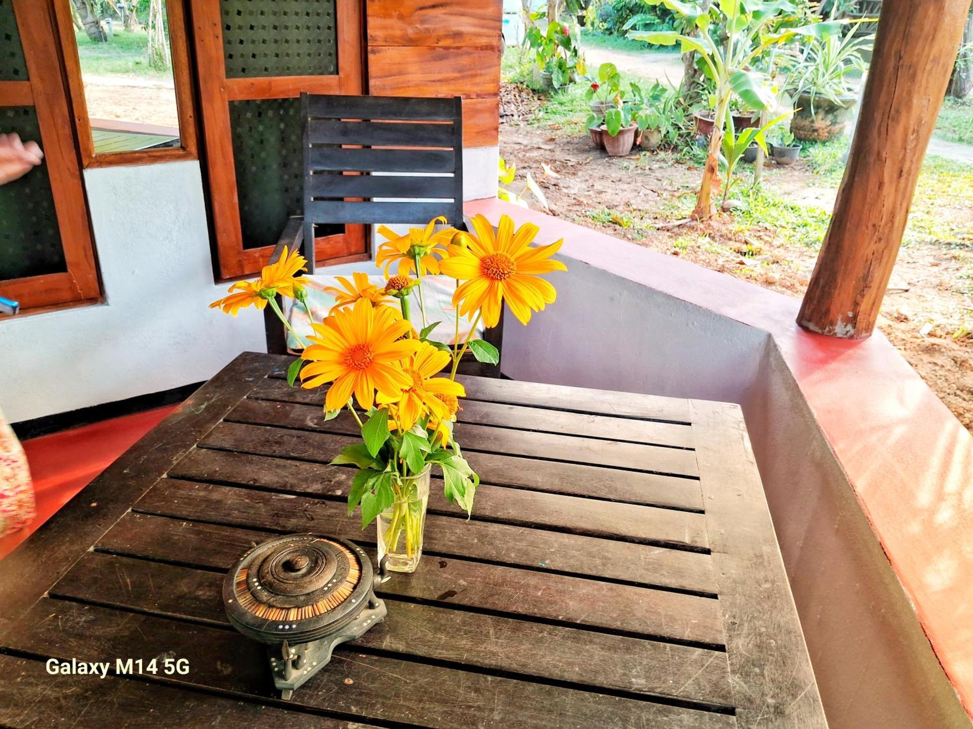 Sea Sound Cabana & Restaurant Tangalle Dış mekan fotoğraf